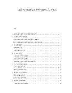 2025馬術(shù)場(chǎng)地專用彈性木屑?jí)|層分析報(bào)告