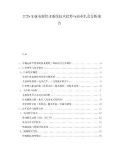 2025車載電源管理系統技術趨勢與商業機會分析報告