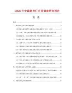 2026年中國路光燈市場調查研究報告