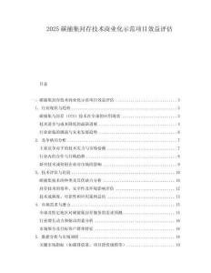 2025碳捕集封存技術(shù)商業(yè)化示范項(xiàng)目效益評估
