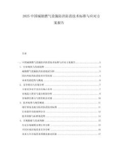 2025中国城镇燃气设施防洪防涝技术标准与应对方案报告