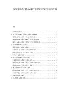 2025數字考古技術在新文物保護中的應用案例匯編