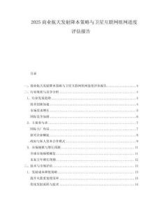 2025商業(yè)航天發(fā)射降本策略與衛(wèi)星互聯(lián)網(wǎng)組網(wǎng)進(jìn)度評(píng)估報(bào)告