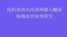 線粒體相關內質網膜與糖尿病微血管病變研究2026