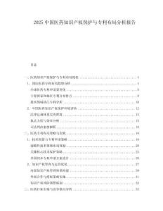 2025中國醫(yī)藥知識產(chǎn)權(quán)保護(hù)與專利布局分析報(bào)告