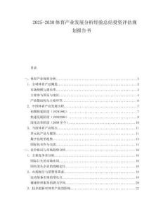 2025-2030體育產業發展分析經驗總結投資評估規劃報告書