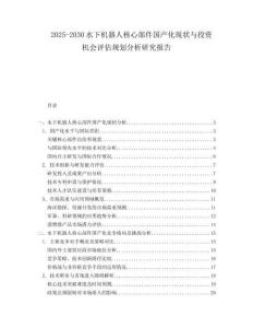 2025-2030水下機器人核心部件國產化現狀與投資機會評估規劃分析研究報告