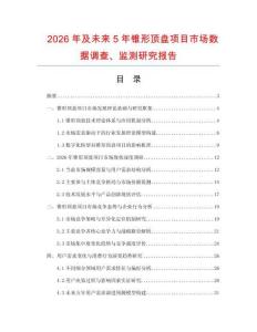 2026年及未來5年錐形頂盤項目市場數據調查、監測研究報告