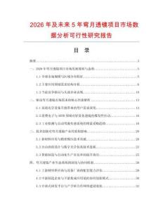 2026年及未來5年彎月透鏡項目市場數(shù)據(jù)分析可行性研究報告