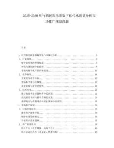 2025-2030絲竹韻民族樂器數字化傳承現狀分析市場推廣規劃課題