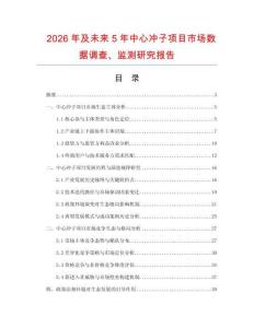 2026年及未來5年中心沖子項目市場數(shù)據(jù)調(diào)查、監(jiān)測研究報告