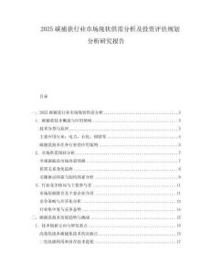 2025碳捕獲行業(yè)市場現(xiàn)狀供需分析及投資評(píng)估規(guī)劃分析研究報(bào)告