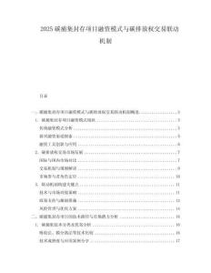 2025碳捕集封存項(xiàng)目融資模式與碳排放權(quán)交易聯(lián)動(dòng)機(jī)制