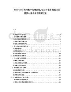 2025-2030提問整個處理流程包括對很多側重方面需要對整個流程需要優化