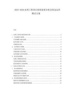 2025-2030水利工程項目投資前景分析及資金運作模式方案