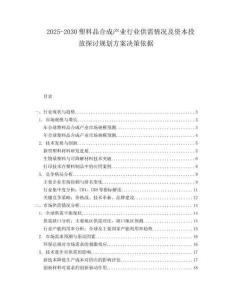 2025-2030塑料品合成產業行業供需情況及資本投放探討規劃方案決策依據