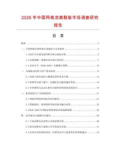 2026年中國網格涼爽鞋墊市場調查研究報告