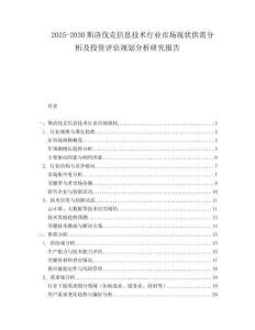 2025-2030斯洛伐克信息技術行業市場現狀供需分析及投資評估規劃分析研究報告