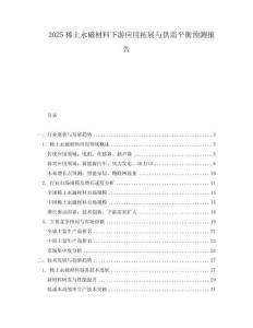 2025稀土永磁材料下游應用拓展與供需平衡預測報告