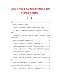 2026年中國變色硅膠吸潮電焊條干燥筒市場調查研究報告