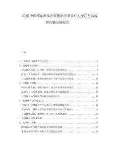 2025中國椰油酰基絲氨酸鈉消費者行為變遷與新媒體傳播策略報告