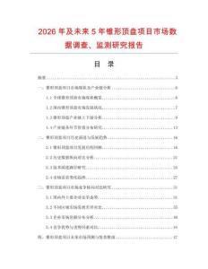 2026年及未來5年錐形頂盤項目市場數(shù)據(jù)調查、監(jiān)測研究報告