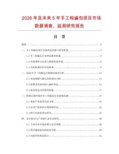 2026年及未來5年手工鉤編包項目市場數據調查、監測研究報告