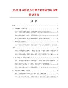 2026年中國紅外可燃氣變送器市場調查研究報告
