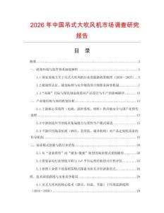 2026年中國吊式大吹風機市場調查研究報告