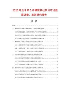 2026年及未來5年橡塑軟線項目市場數據調查、監測研究報告