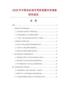 2026年中國電吉他專用拾音器市場調查研究報告