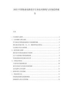 2025中國集成電路設計行業(yè)技術路線與市場趨勢報告