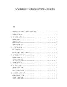 2025新能源汽車(chē)電控系統(tǒng)熱管理技術(shù)路線報(bào)告