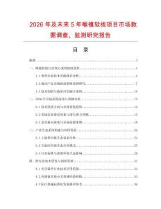 2026年及未來5年喉鏡軟線項目市場數據調查、監測研究報告