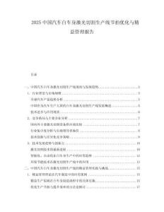2025中國汽車白車身激光切割生產線節拍優化與精益管理報告