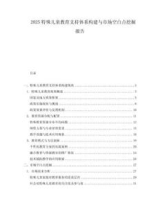 2025特殊兒童教育支持體系構建與市場空白點挖掘報告