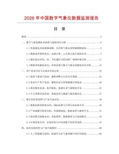 2026年中國數(shù)字氣象儀數(shù)據(jù)監(jiān)測報告