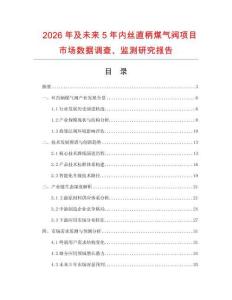 2026年及未來5年內(nèi)絲直柄煤氣閥項目市場數(shù)據(jù)調(diào)查、監(jiān)測研究報告