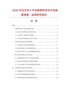 2026年及未來5年電纜鋼帶項目市場數(shù)據(jù)調查、監(jiān)測研究報告