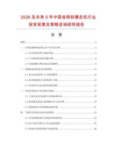 2026及未來5年中國金剛砂磨皮機行業投資前景及策略咨詢研究報告