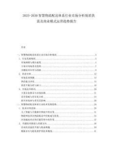 2025-2030智慧物流配送體系行業市場分析現狀供需及商業模式運營趨勢報告