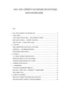 2025-2030文物保護行業市場發展分析競爭環境技術進步商業模式創新