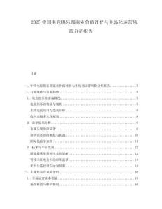 2025中國電競俱樂部商業價值評估與主場化運營風險分析報告