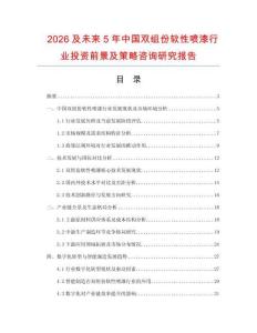 2026及未來(lái)5年中國(guó)雙組份軟性噴漆行業(yè)投資前景及策略咨詢研究報(bào)告