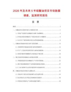 2026年及未來(lái)5年硅酸油項(xiàng)目市場(chǎng)數(shù)據(jù)調(diào)查、監(jiān)測(cè)研究報(bào)告