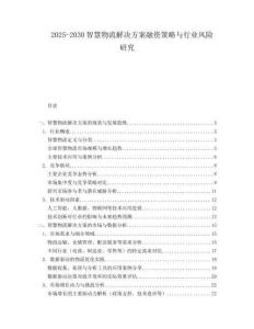 2025-2030智慧物流解決方案融資策略與行業(yè)風(fēng)險研究