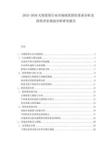 2025-2030天使投資行業(yè)市場現(xiàn)狀供給需求分析及投資評估規(guī)劃分析研究報(bào)告