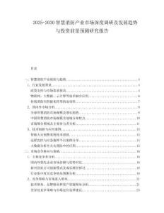 2025-2030智慧消防產(chǎn)業(yè)市場深度調(diào)研及發(fā)展趨勢與投資前景預(yù)測研究報告