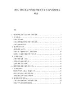 2025-2030通信網(wǎng)絡(luò)技術(shù)服務(wù)競爭格局與發(fā)展規(guī)劃研究