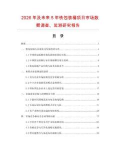 2026年及未來5年鐵包裝桶項目市場數據調查、監測研究報告